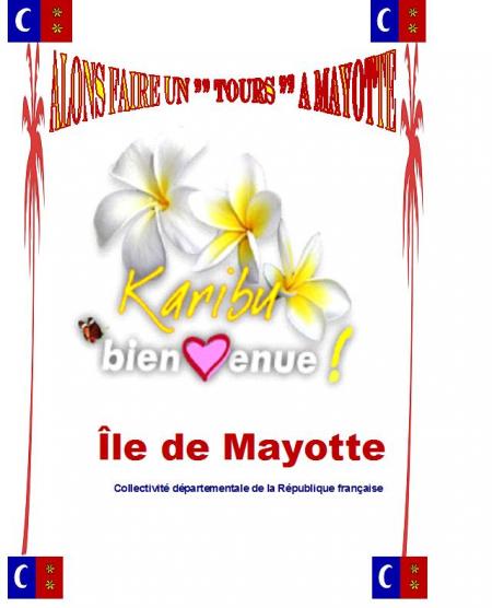 PROJET 2008 ET 2009 LMT